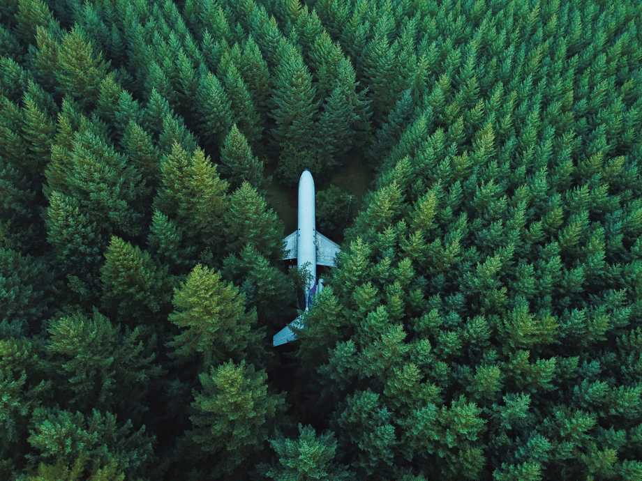 Plane stuck in the woods